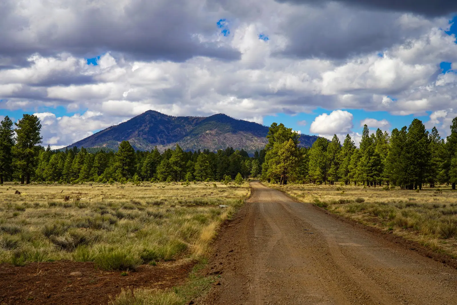 Dirt road across a high meadow toward a forested peak near Flagstaff