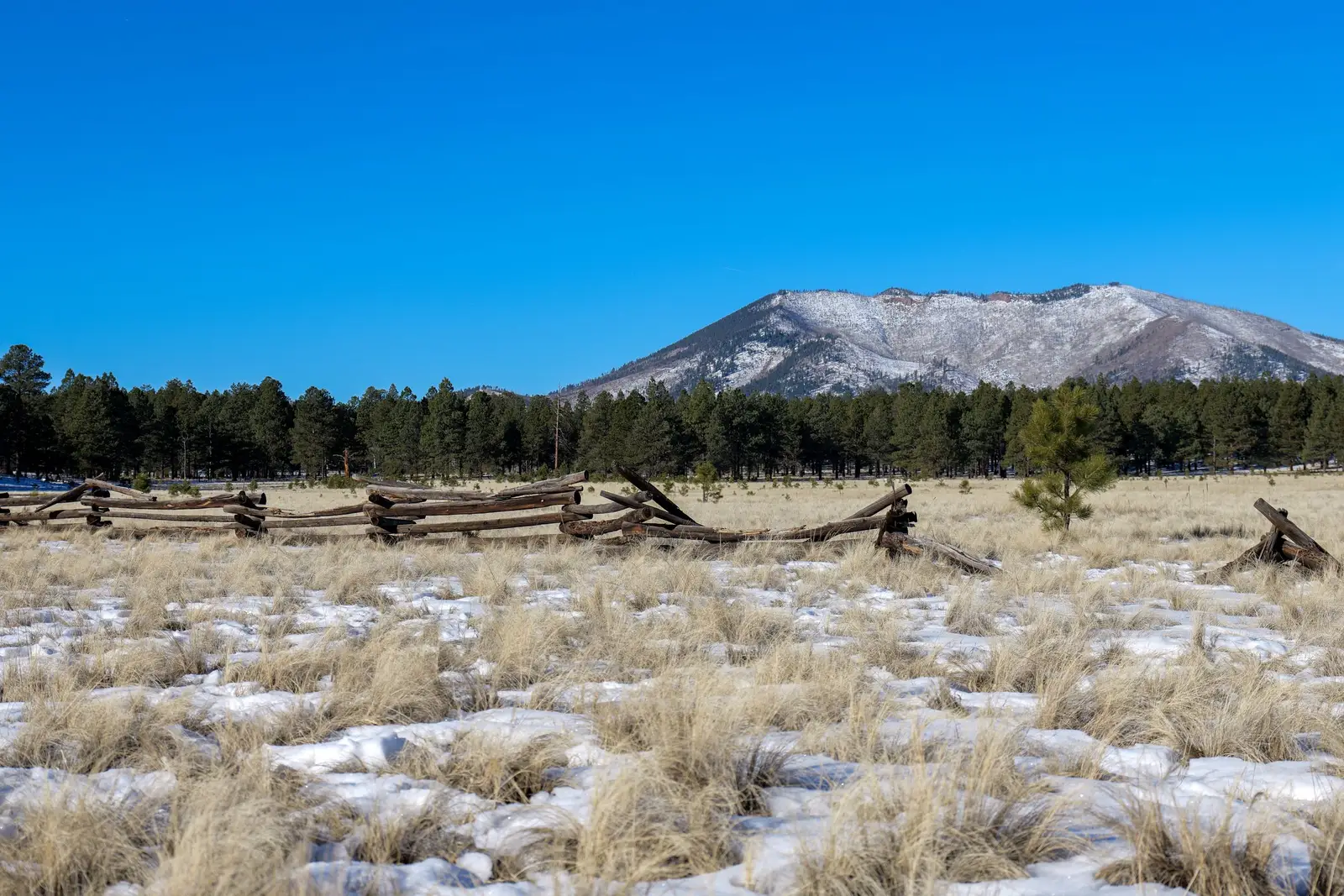 Snowy grassland with a split-rail fence and a snow-capped peak beyond, near Flagstaff